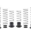 Eibach Pro-UTV 2020 Polaris RZR Pro XP Ultimate Stage 2 Performance Springs - Set of 8