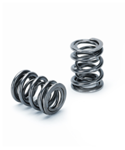 Supertech Honda K20/K24 Dual Valve Spring - Set of 16
