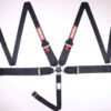 RaceQuip Black SFI CAMLOCK 5pt PD Lap HNR Seat Belt