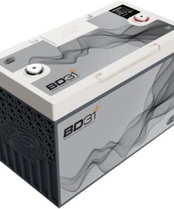 BD31